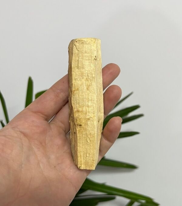 Palo Santo ( Madeira )